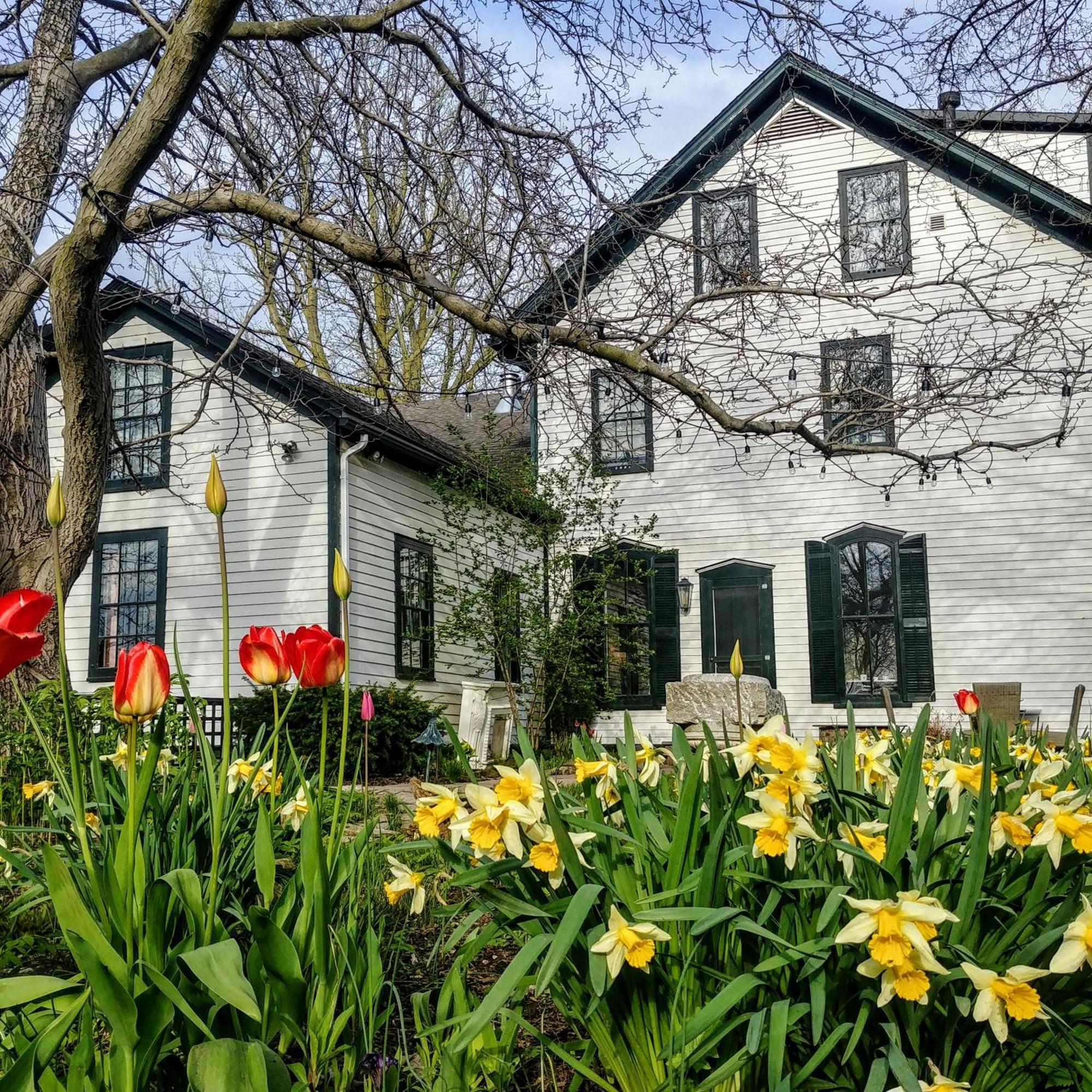 Woodbourne Inn Niagara-on-the-Lake Εξωτερικό φωτογραφία